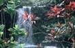 Thumbs/tn_Wasserfall.jpg